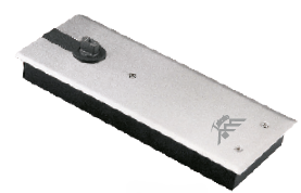 LFS-9400 Double Spring Floor Hinge